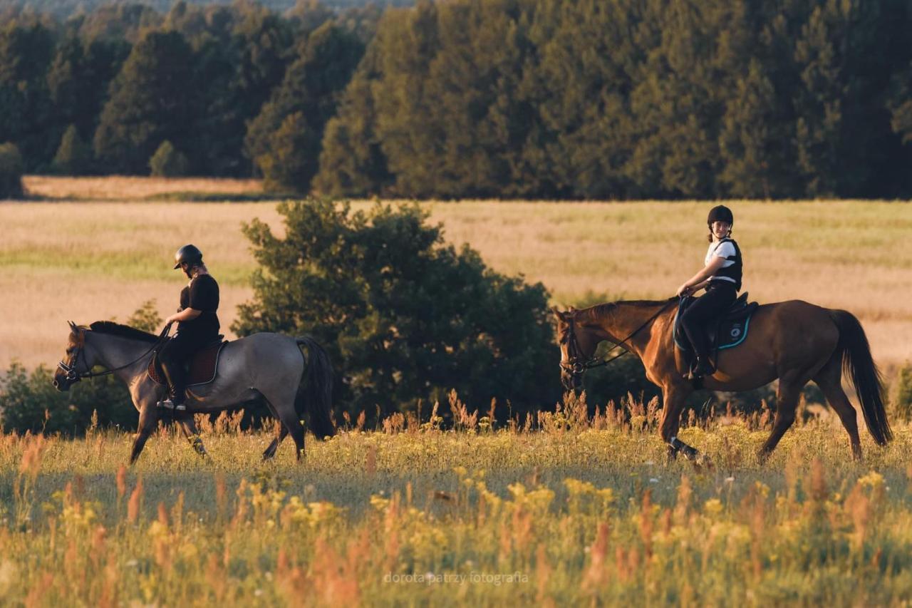 Pod Debami Domki ,Pokoje,Nauka Jazdy Konnej Sarbsk Obok Leby Exterior foto